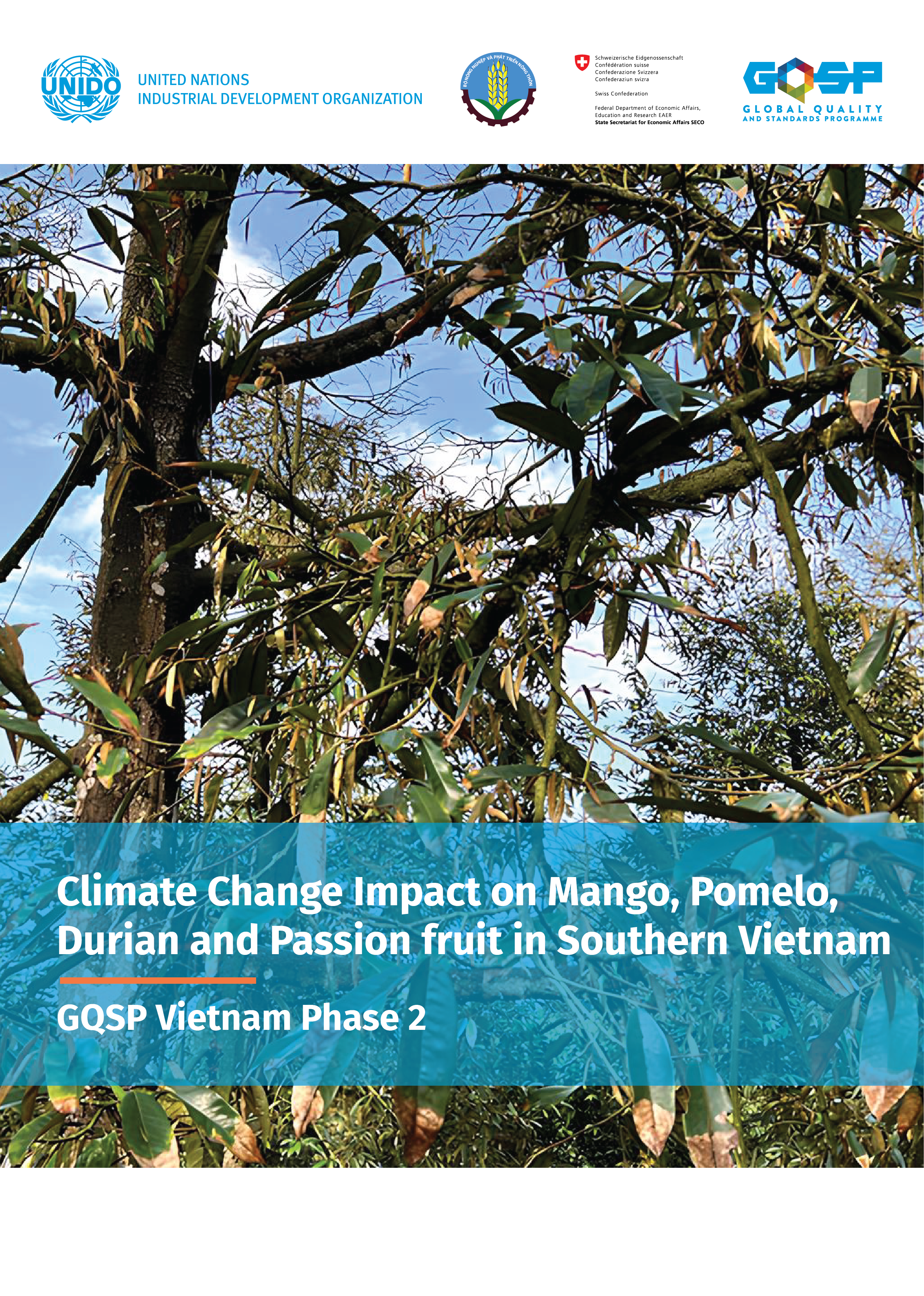 Climate change impact on Mango, Pomelo, Durian and Passion fruit value chains in Vietnam